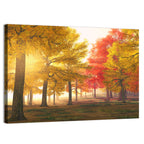 Foggy Autumn Forest Wall Art