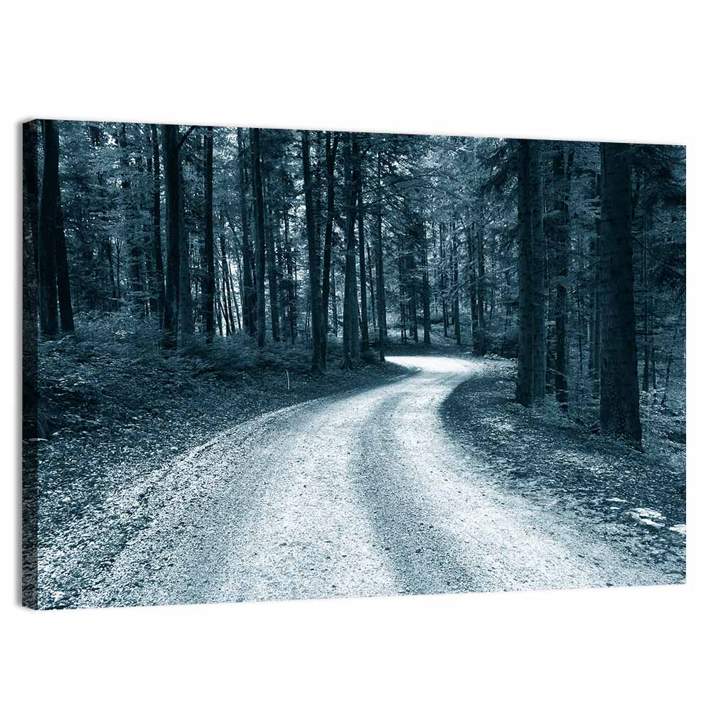 Sandy Forest Road at Dusk Wall Art