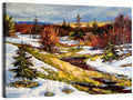 Snowy Stream Through Evergreens Wall Art