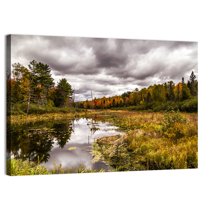 Michigan Autumn Marsh Wall Art as a canvas print
