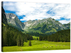 Arnibach Valley Summer Meadow Wall Art