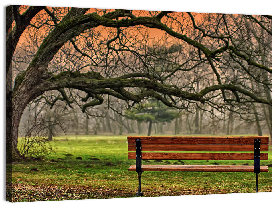 Misty Autumn Park Bench Wall Art, canvas print, landscape