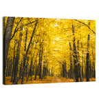Yellow Autumn Forest Path Wall Art