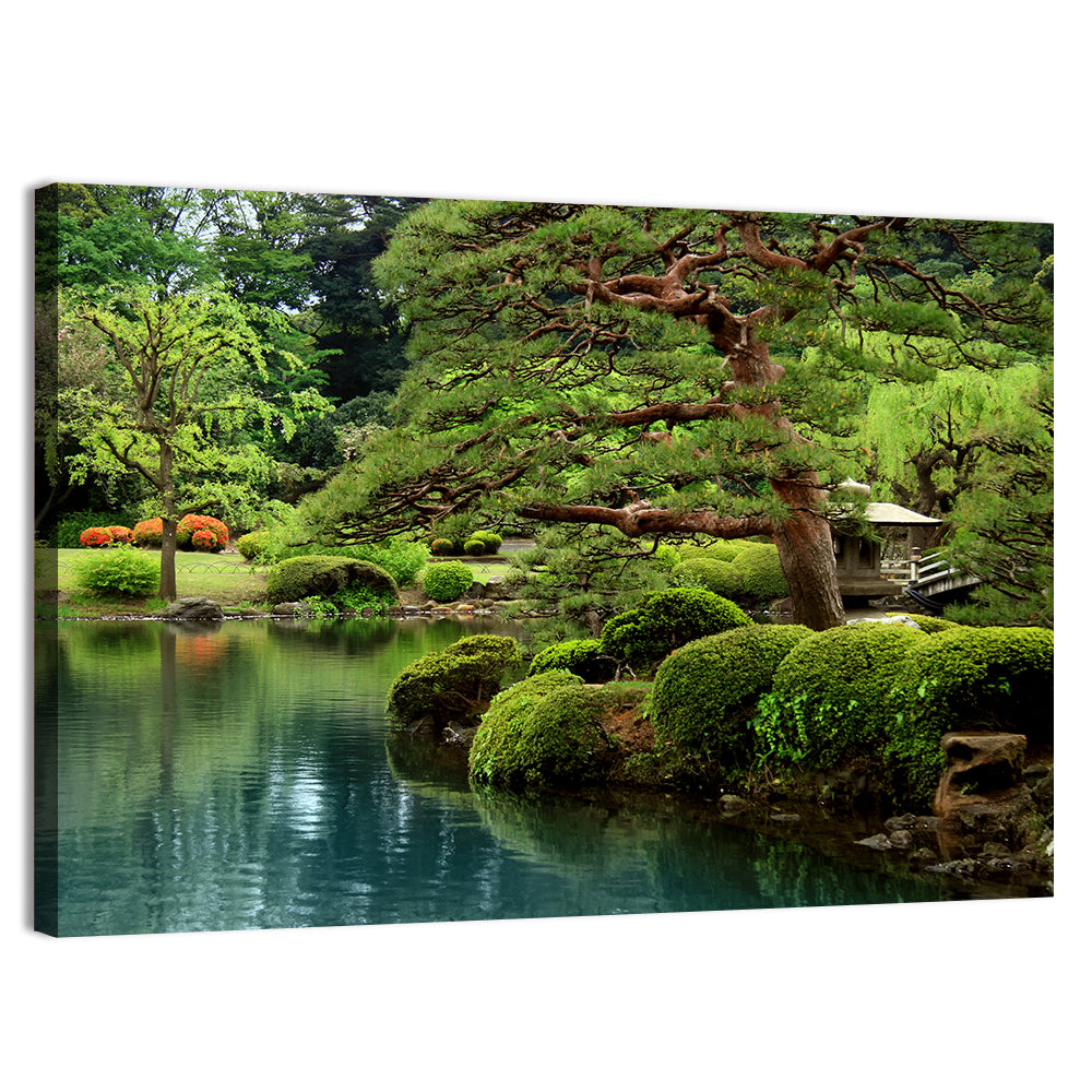 Bonsai Pine Over Tranquil Pond Wall Art, canvas print, landscape