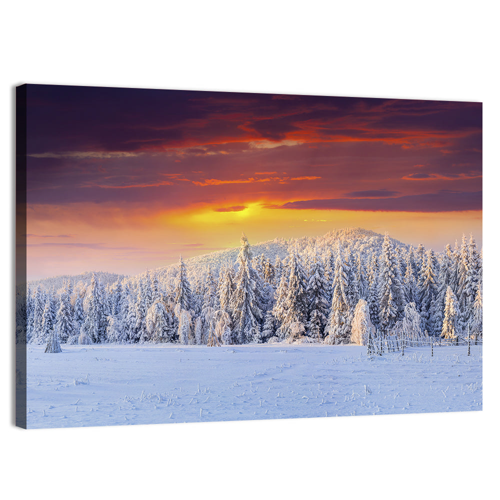 Snowy Forest Sunset Wall Art