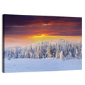 Snowy Forest Sunset Wall Art