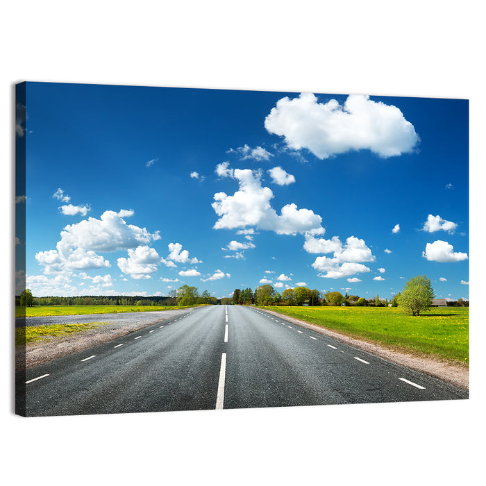 Asphalt Road Through Meadow Wall Art as a canvas print