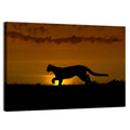 Cougar Silhouette at Sunset Wall Art
