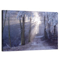 Frosted Forest Path at Dawn Wall Art