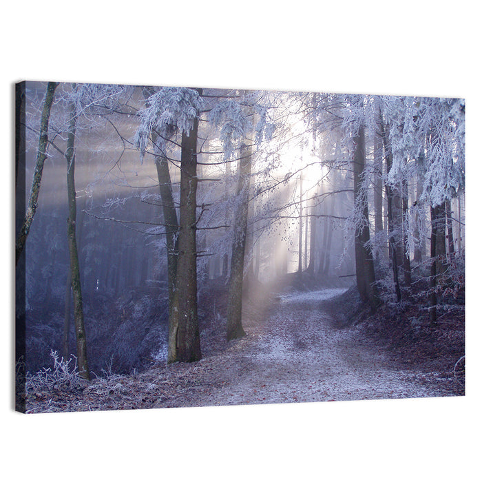 Frosted Forest Path at Dawn Wall Art as a canvas print