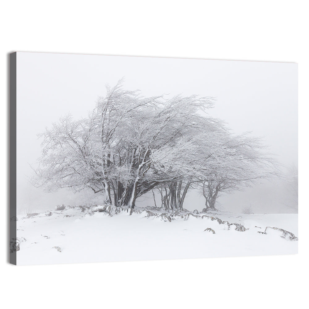 Rime Coated Winter Trees Wall Art