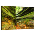 Turkey Run State Park Canyon Wall Art
