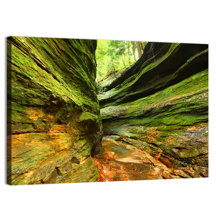 Turkey Run State Park Canyon Wall Art as a canvas print