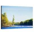 Summer Forest Lake Shoreline Wall Art