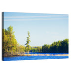 Summer Forest Lake Shoreline Wall Art