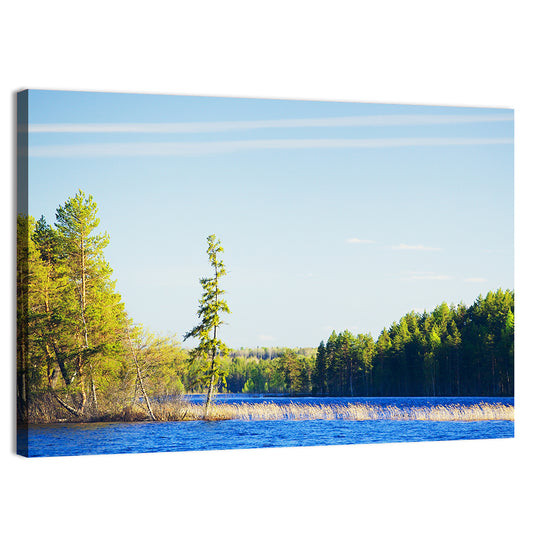 Summer Forest Lake Wall Art