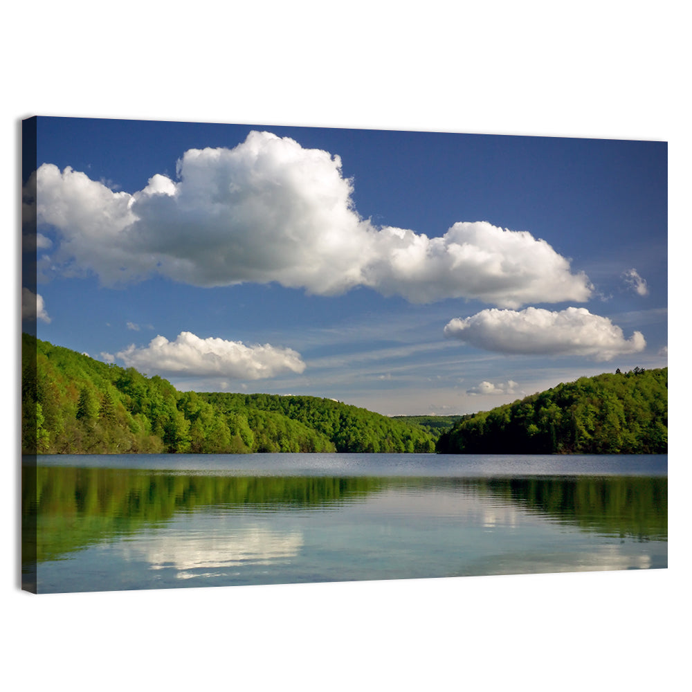 Plitvice Forest Lake Scene Wall Art