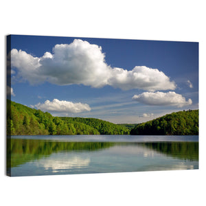 Plitvice Forest Lake Wall Art