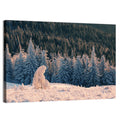 Carpathian Forest at Golden Hour Wall Art