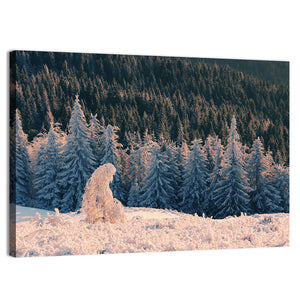 Snowy Carpathian Forest Wall Art