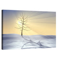 Winter Tree at Golden Sunrise Wall Art