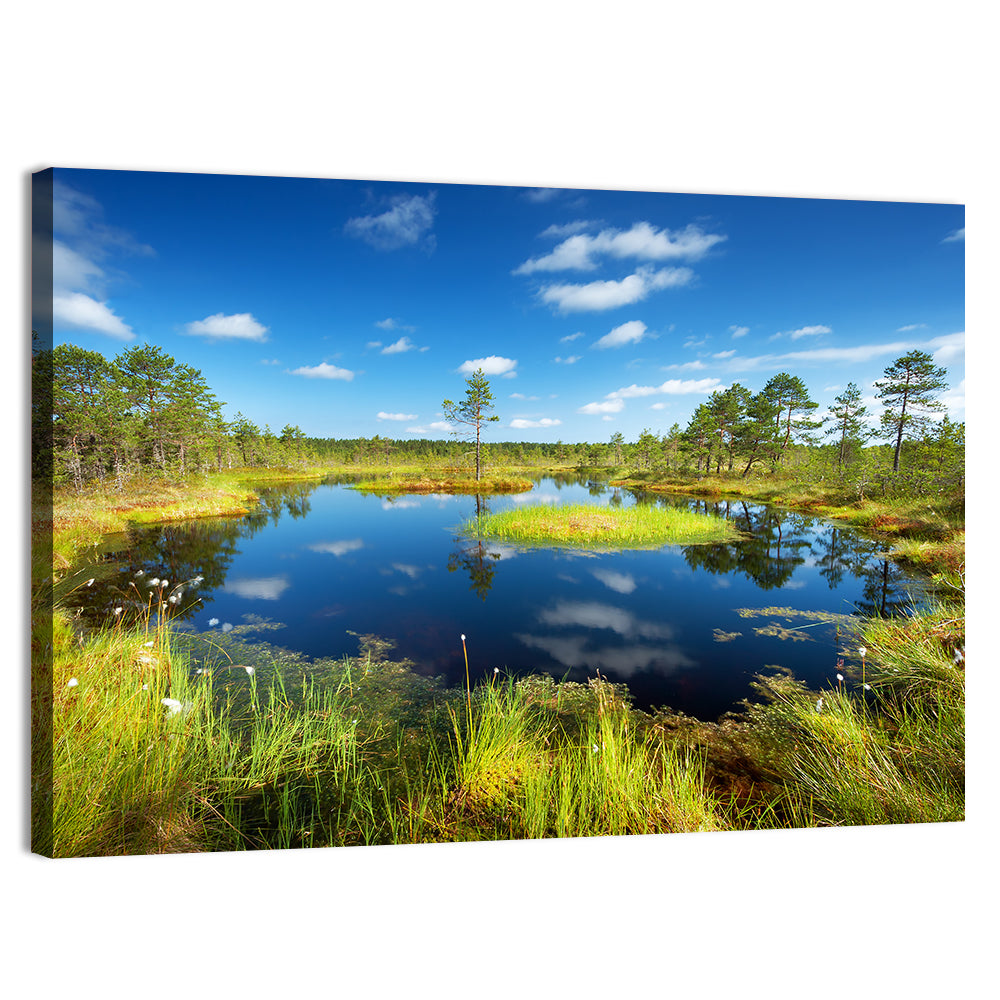 Viru Bogs Reflections Wall Art, canvas print, landscape