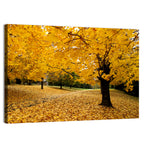 Baltimore Autumn Foliage Wall Art