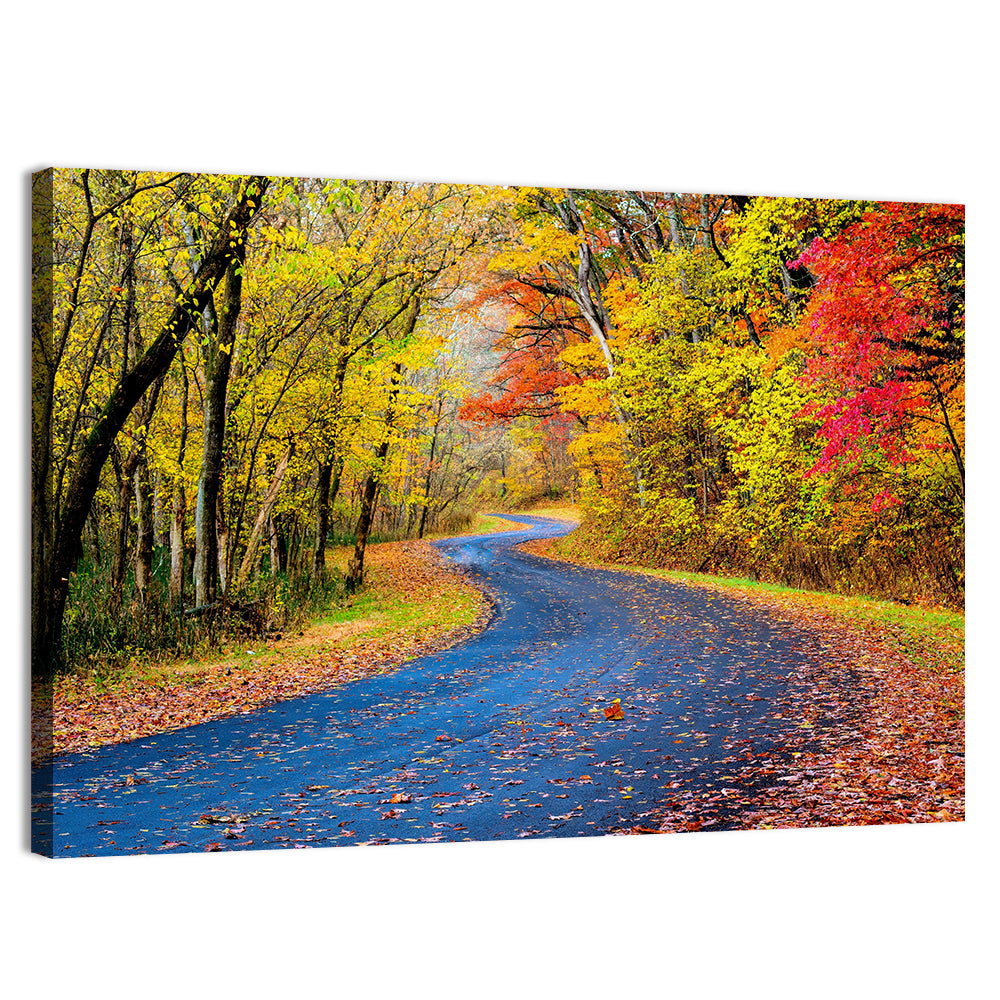 Wet Autumn Road Wall Art, canvas print, landscape