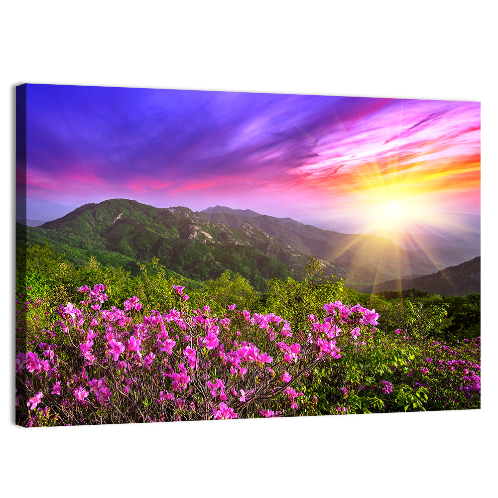 Hwangmaesan Mountain Sunset Wall Art