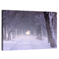 Kuressaare Park Snowy Path Wall Art