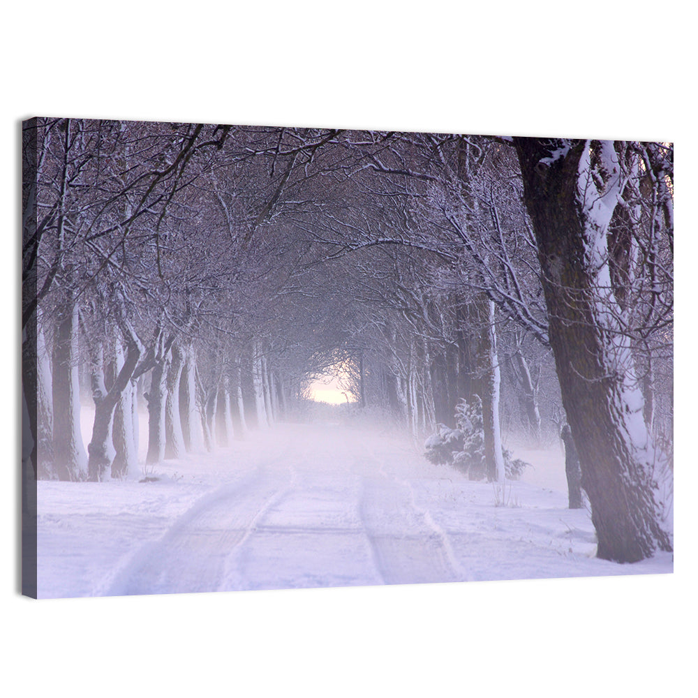 Kuressaare Park Snowy Path Wall Art, canvas print, landscape