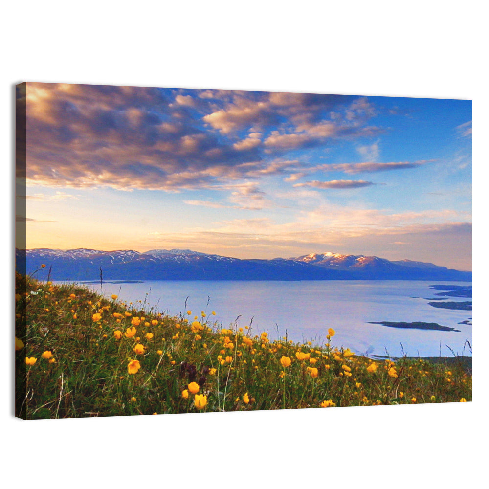 Abisko National Park Sunrise Wall Art, canvas print, landscape