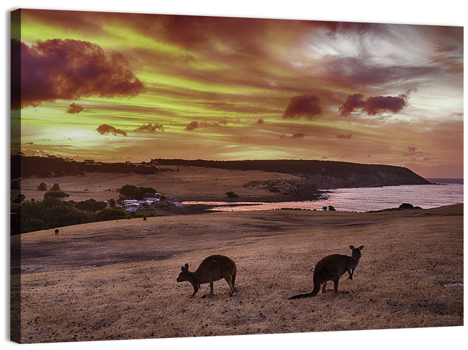 Two Kangaroos at Sunset Coast Wall Art, canvas print, landscape