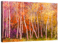 Vibrant Autumn Birch Grove Wall Art