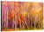 Colorful Autumn Trees Wall Art