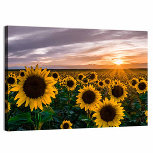 Sunflowers Sunset Wall Art