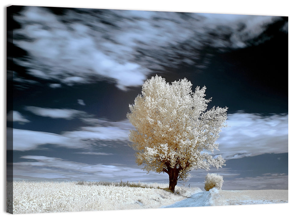 Infrared Winter Willow Tree Wall Art, canvas print, landscape