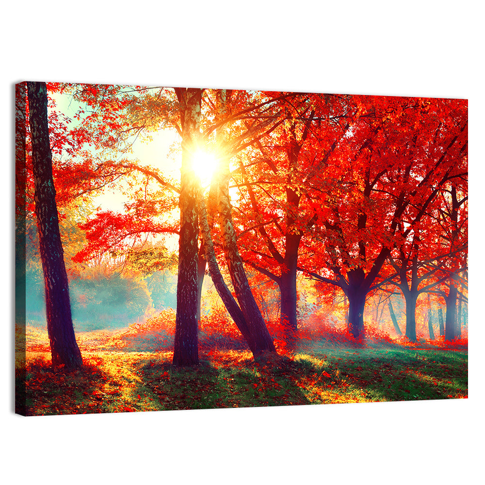 Autumn Park Sunrise Wall Art
