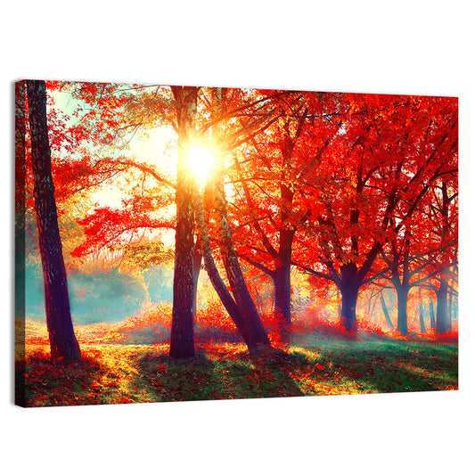 Autumnal Park Sunrise Wall Art