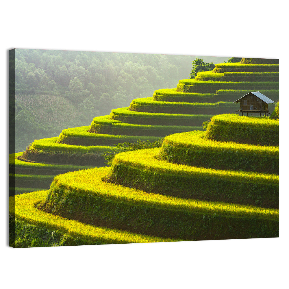 Golden Rice Terraces Wall Art