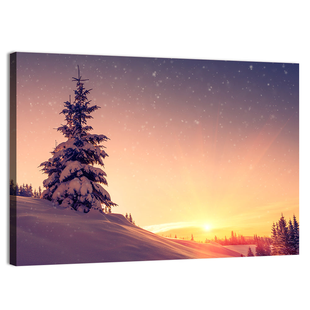 Snowy Sunset with Conifer Wall Art, canvas print, landscape