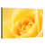 Yellow Rose Wall Art