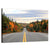 Algonquin Park Road Wall Art