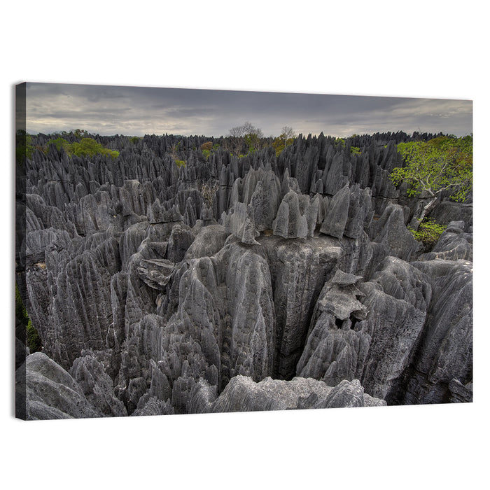 Tsingy De Bemaraha Pinnacles Wall Art as a canvas print