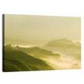 Tea Plantation Morning Mist Wall Art