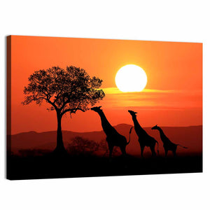South African Giraffes Wall Art