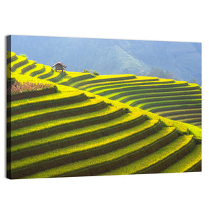 Rice Terrace Vietnam Wall Art