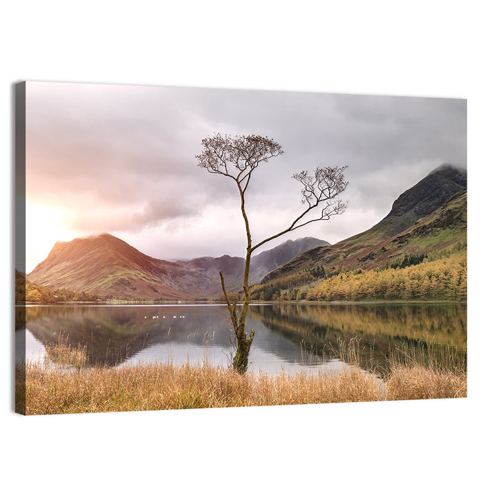 Buttermere Lone Tree at Dusk Wall Art as a canvas print