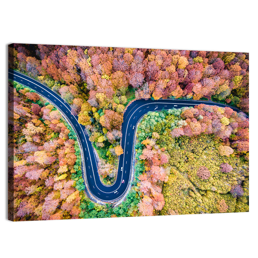 Winding Forest Road Wall Art
