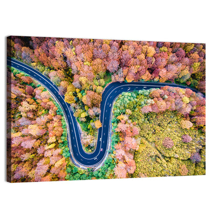 Winding Road Wall Art